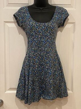 American Eagle Outfitters Blue Floral Skater Dress